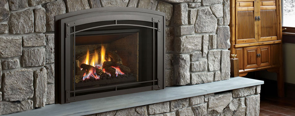 The Regency Liberty LRI6E Gas Insert is a top-tier heating solution designed to offer comfort, efficiency, and style. It is both environmentally friendly and economical. The elegant design blends seamlessly with any home decor.